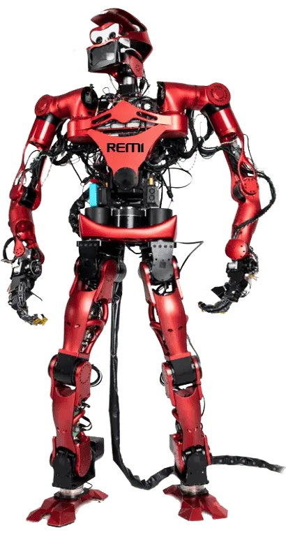AI Robot Remi